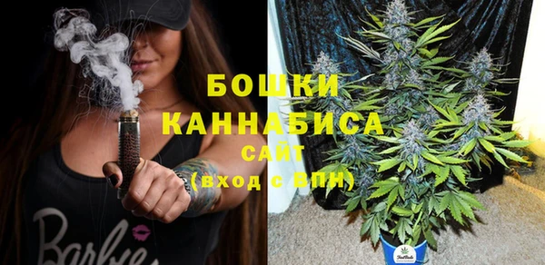 гидра Наволоки
