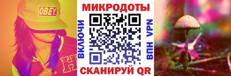 Купить Сорск Галлюциногенные грибы Psilocybine cubensis